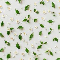 White Flowers and Green Leaves on White Background photo