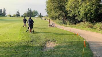 Chicago Illinois 03.04.2024 golfistas caminhando em golfe curso caminho. uma bem cuidado panorama com golfistas empurrando seus golfe carrinhos. árvores e vegetação linha a caminho, adicionando para a tranquilo atmosfera video