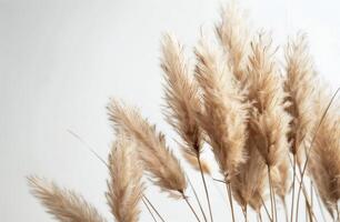 Pile of Dry Grass on White Table photo