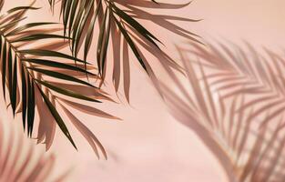 Close Up of Palm Leaves on Pink Background photo