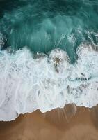 Aerial View of Beach and Ocean photo