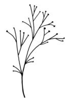 Clipart of outline wild plant. Hand drawn illustration. Black ink sketch of flora isolated on white. Botanical vintage element for design. vector