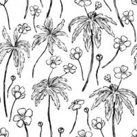 botón de oro anémona flores, salvaje plantas decorativo fondo de pantalla. mano dibujado Clásico sin costura modelo. botánico resumen amable floral antecedentes. diseño para envoltura, textil, imprimir, tela. vector