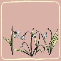 Cute square greeting card. Spring card design with hand drawn snowdrops and minimalist frame isolated on a delicate pink background. Place for text. Wedding, invitations, anniversary, birthday. vector