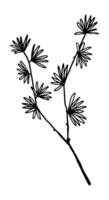 Clipart of outline wild plant. Hand drawn illustration. Black ink sketch of flora isolated on white. Botanical vintage element for design. vector