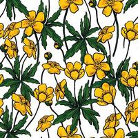 Buttercup Anemone flowers, wild plants decorative wallpaper. Hand drawn vintage seamless pattern. Botanical realistic gentle floral background. Colorful design for wrap, textile, print, fabric. vector
