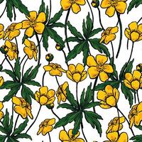 botón de oro anémona flores, salvaje plantas decorativo fondo de pantalla. mano dibujado Clásico sin costura modelo. botánico realista amable floral antecedentes. vistoso diseño para envoltura, textil, imprimir, tela. vector