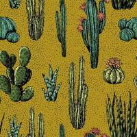 Cacti and succulents hand drawn seamless pattern. Graphic ink sketches of different desert plants. Abstract colored botanical background Design for wallpaper, wrap, textile, fabric, card, print vector