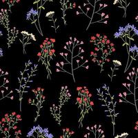 Wild plants seamless pattern. Floral ornament in simple style. Hand drawn illustration. Bright abstract botanical design. vector