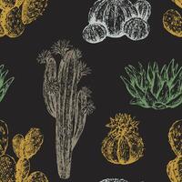 Cacti and succulents hand drawn seamless pattern. Graphic ink sketches of different desert plants. Abstract colored botanical background Design for wallpaper, wrap, textile, fabric, card, print vector