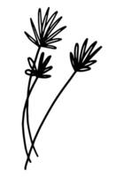 Clipart of outline wild plant. Hand drawn illustration. Black ink sketch of flora isolated on white. Botanical vintage element for design. vector