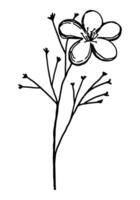 Clipart of outline wild plant. Hand drawn illustration. Black ink sketch of flora isolated on white. Botanical vintage element for design. vector