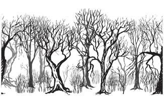 Hand drawn illustration in sketch style. Background with different silhouettes of trees and bushes without leaves Monochrome dense forest isolated on whiteHorizontal graphic seamless pattern. vector