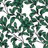 Branches of Fiddle-leaf fig ornament. Hand drawn botanical seamless pattern. vector