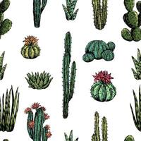 Cacti and succulents hand drawn seamless pattern. Graphic ink sketches of different desert plants. Abstract colored botanical background Design for wallpaper, wrap, textile, fabric, card, print vector