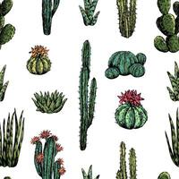 cactus y suculentas mano dibujado sin costura modelo. gráfico tinta bocetos de diferente Desierto plantas. resumen de colores botánico antecedentes diseño para fondo de pantalla, envoltura, textil, tela, tarjeta, impresión vector