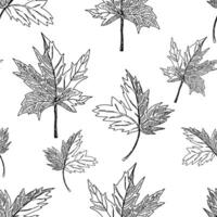Outline foliage seamless pattern. Hand drawn illustration. Colored ornament with ink sketches of leaves. Botanical vintage design for fabric, textile, wallpaper, background, print, decor, wrap vector