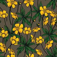 Buttercup Anemone flowers, wild plants decorative wallpaper. Hand drawn vintage seamless pattern. Botanical realistic gentle floral background. Colorful design for wrap, textile, print, fabric. vector