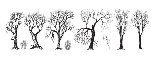 Collection vintage hand drawn illustration in sketch style. Set of different silhouettes of trees and bushes without leaves. Dense forest. Outline graphic isolated on white. Elements for design vector