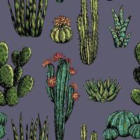 Cacti and succulents hand drawn seamless pattern. Graphic ink sketches of different desert plants. Abstract colored botanical background Design for wallpaper, wrap, textile, fabric, card, print vector