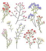 Wild plants collection. Set of cute flowers in simple style. Hand drawn illustration. Abstract botanical clip arts isolated on white. vector