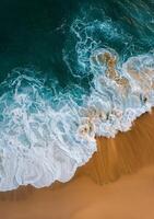 Aerial View of Beach and Ocean photo