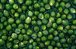 Close Up of Brussels Sprouts photo