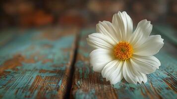 White Flower on Wooden Table photo