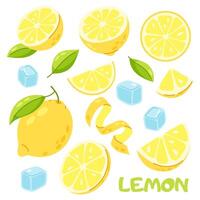 Set of fresh lemons and ice cubes in flat style. Citrus fruit. Fruit ingredient for drinks and desserts. vector