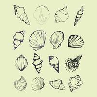 a set of hand drawn shells on a green background vector