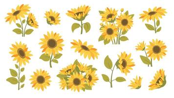 Summer sunflowers set. Single sunflower, bouquet of sunflowers. icons in flat style vector