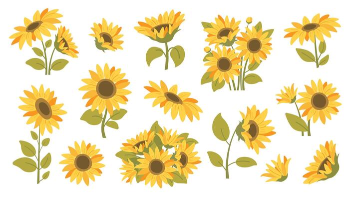 Summer sunflowers set. Single sunflower, bouquet of sunflowers. icons in flat style