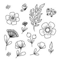 illustration of flowers and leaves in doodle handdraw style vector