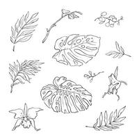 illustration of flowers and leaves in doodle handdraw style vector