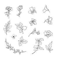 illustration of flowers and leaves in doodle handdraw style vector