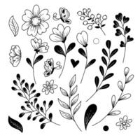 illustration of flowers and leaves in doodle handdraw style vector