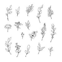 illustration of flowers and leaves in doodle handdraw style vector