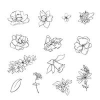 ilustración de flores y hojas en garabatear handdraw estilo vector