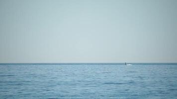 A motorized surfboard with a rider moving on a calm sea. The silhouette of a man on a water scooter glides through the water. Sports and sea activities on a beach holiday. Slow motion. video