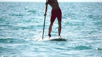 homem sup mar. Forte Atlético homem aprende para remo sup em pé em borda dentro aberto mar oceano em ensolarado dia. verão feriado período de férias e viagem conceito. aéreo visualizar. lento movimento video