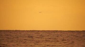 un' rosso ardente tramonto al di sopra di mare con roccioso vulcanico scogliera. astratto natura estate oceano mare sfondo. piccolo onde su d'oro caldo acqua superficie con bokeh luci a partire dal sole. tempo metereologico e clima modificare video