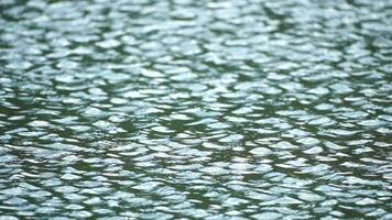 clouds in blue sky reflect on lake, movement of wave on water surface, white fluffy clouds. Ripples on water surface with the reflection of sky and clouds. Holiday, vacation and recreational concept. video