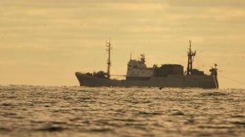 Abstract sea ocean sunset nature background with seagulls and fishing boat trawler catches fish while sailing on sea at horizon in distance sail to catch school of fish on calm sea surface in summer. video
