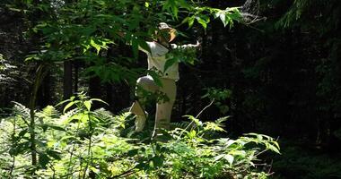 giovane africano donna praticante yoga meditazione esercizio nel foresta natura video