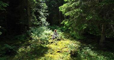 giovane africano donna praticante yoga meditazione esercizio nel foresta natura video