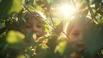Two friends playing a game of hide and seek in a sundrenched garden the bright light creating dramatic shadows on their surroundings photo