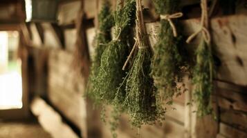 A bundle of fragrant herbs tied together with twine and hanging to dry in a quaint barn ready to add a burst of flavor to any dish photo