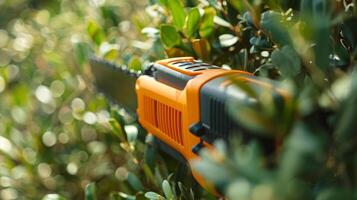 Closeup of the trigger mechanism on an electric hedge trimmer allowing for precise t power photo