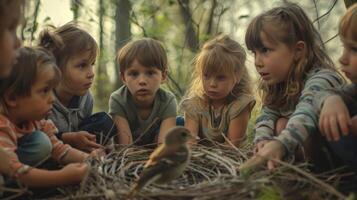 un grupo de niños sentar en un circulo su caras lleno de preguntarse como ellos reloj un pequeño pájaro edificio sus nido. el las manos en experiencia chispas su curiosidad y amor para naturaleza foto