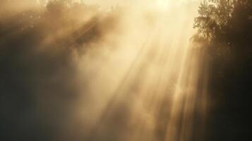 The mist creates an illusion of a neverending landscape transporting the viewer to a peaceful and serene world photo
